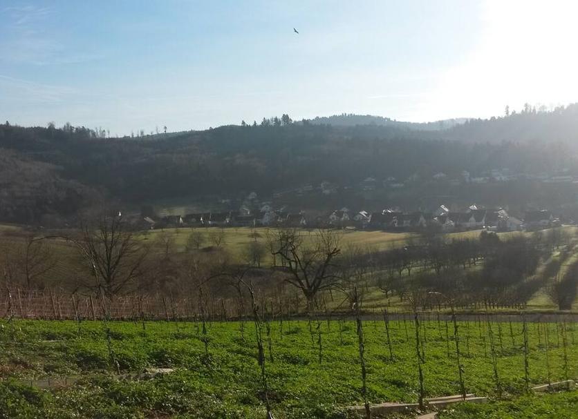 Außenansicht Foto