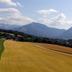 Sonstige