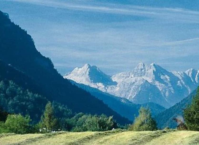 Außenansicht Foto