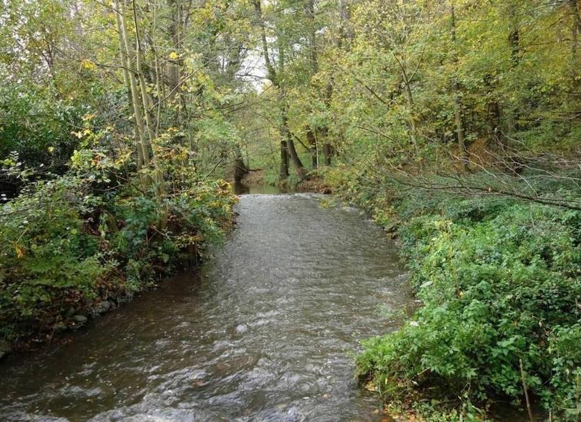 Außenansicht Foto