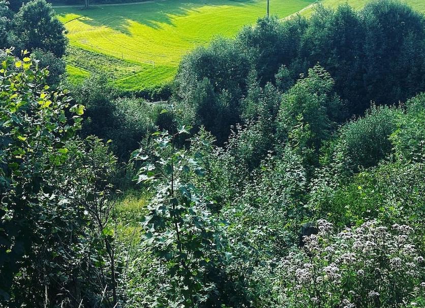 Außenansicht Foto