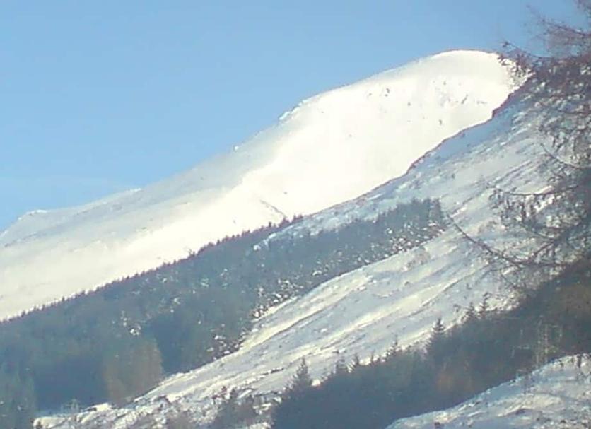 Sonstige Foto