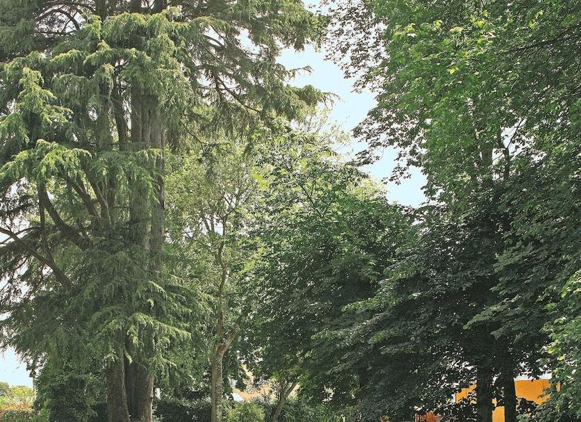 Außenansicht Foto