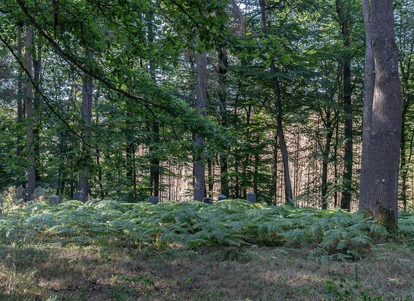 Außenansicht Foto