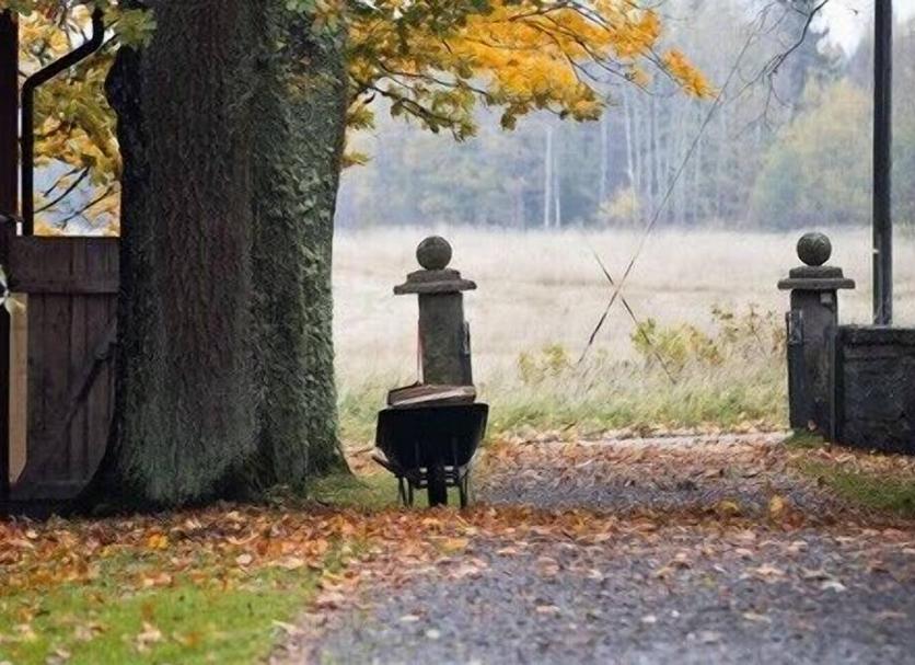 Sonstige Foto