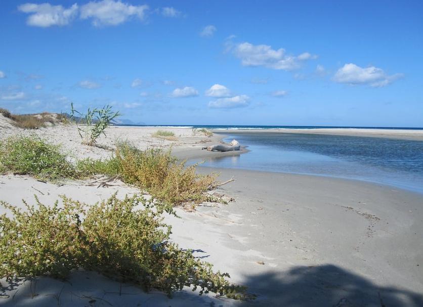 Strand Foto