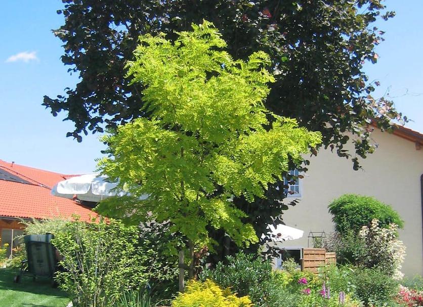 Außenansicht Foto