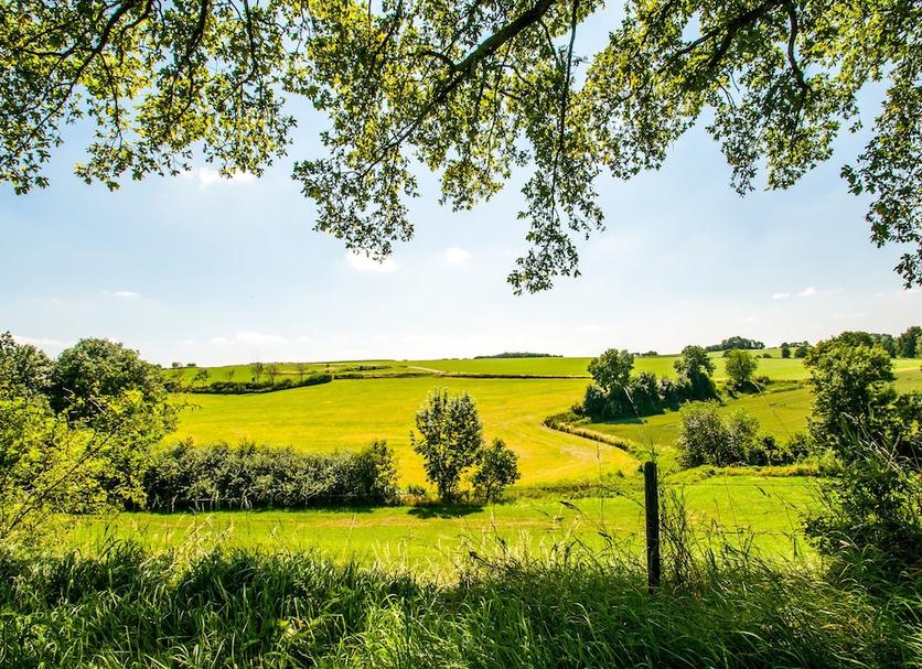 Außenansicht Foto