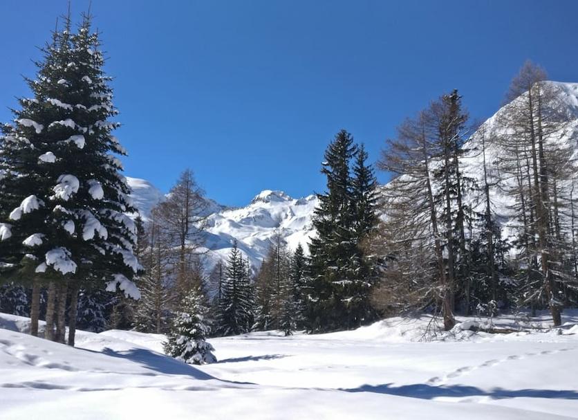 Außenansicht Foto