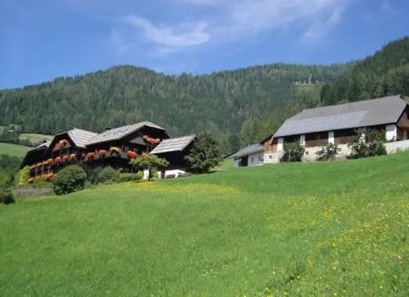 Sonstige Foto