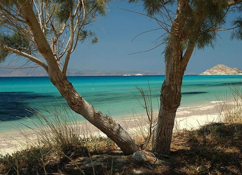 Strand Foto