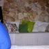 Sonstige
