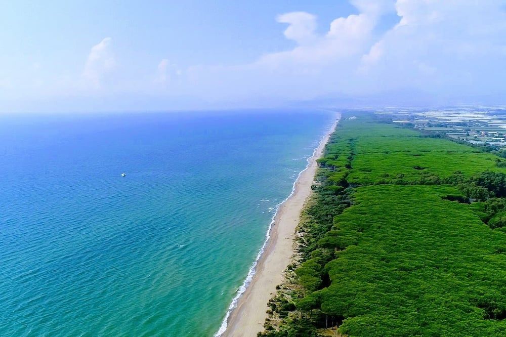 Strand