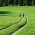 Sonstige