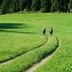 Sonstige