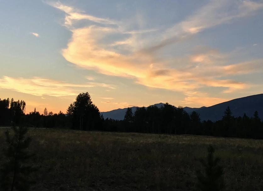 Außenansicht Foto