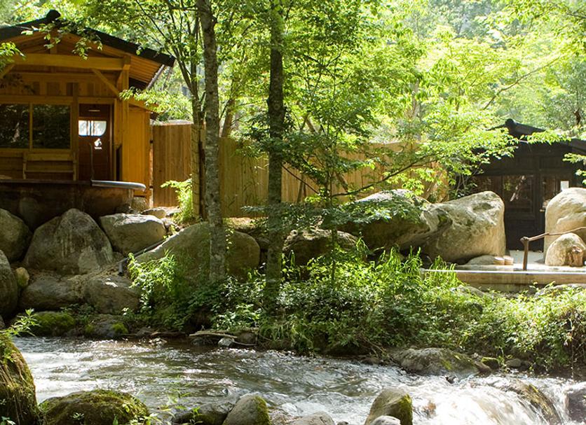 Wellness Foto