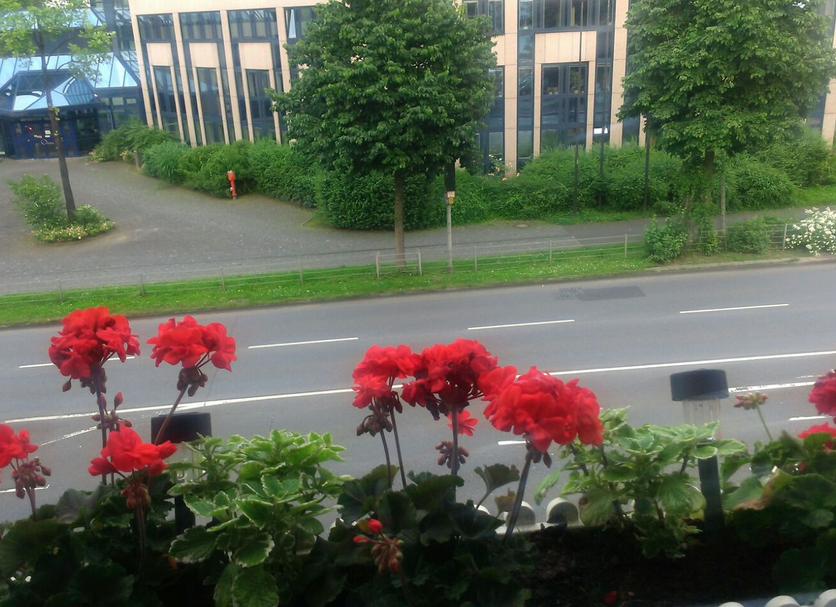 Außenansicht Foto