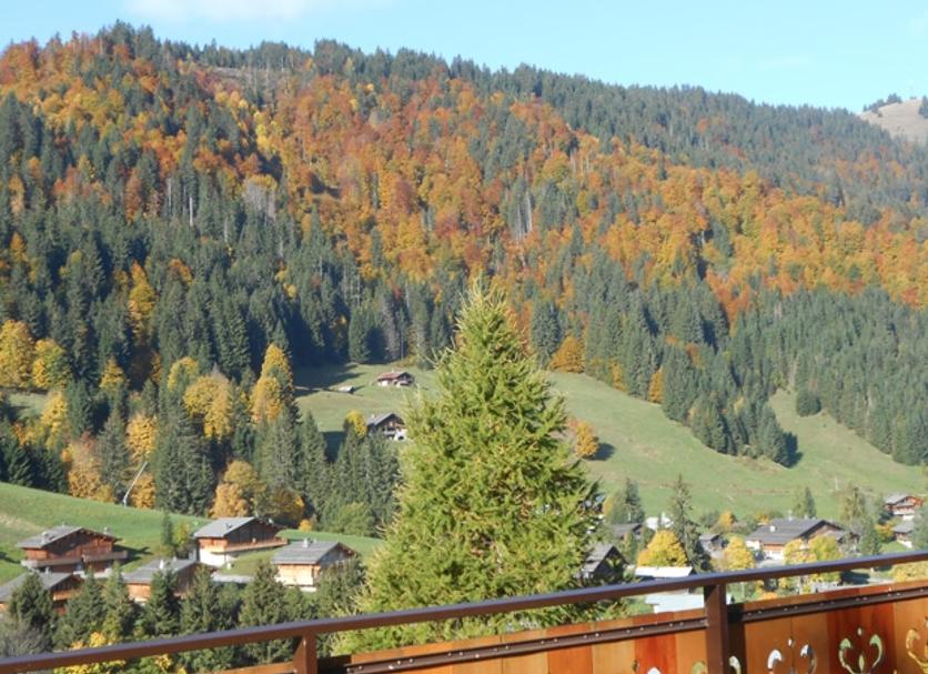 Balkon Foto