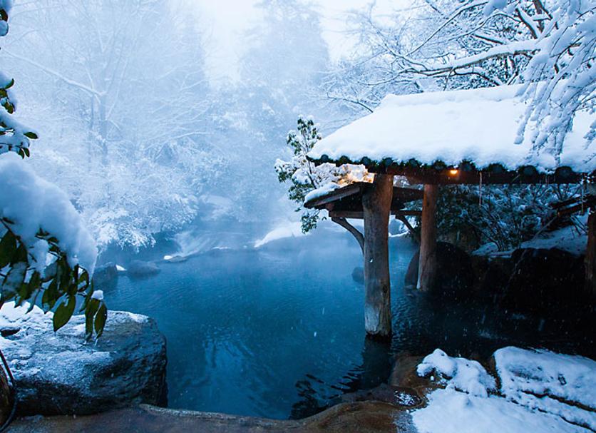 Wellness Foto