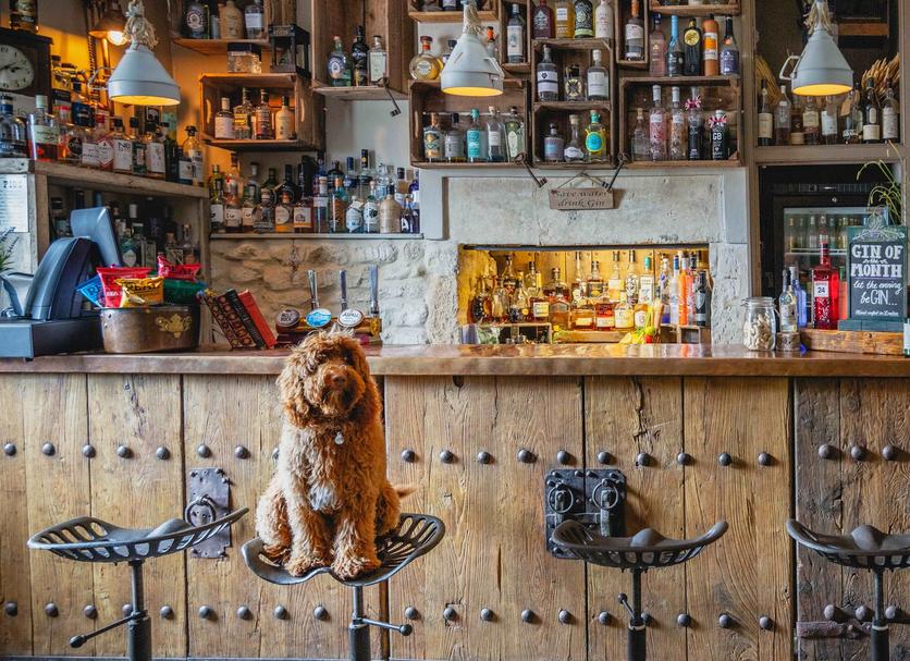 Bar Foto
