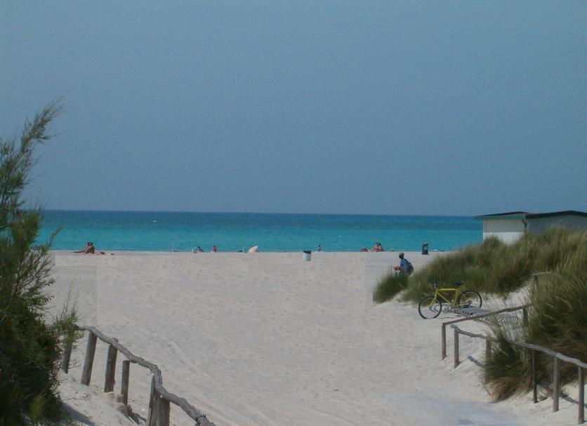 Strand Foto