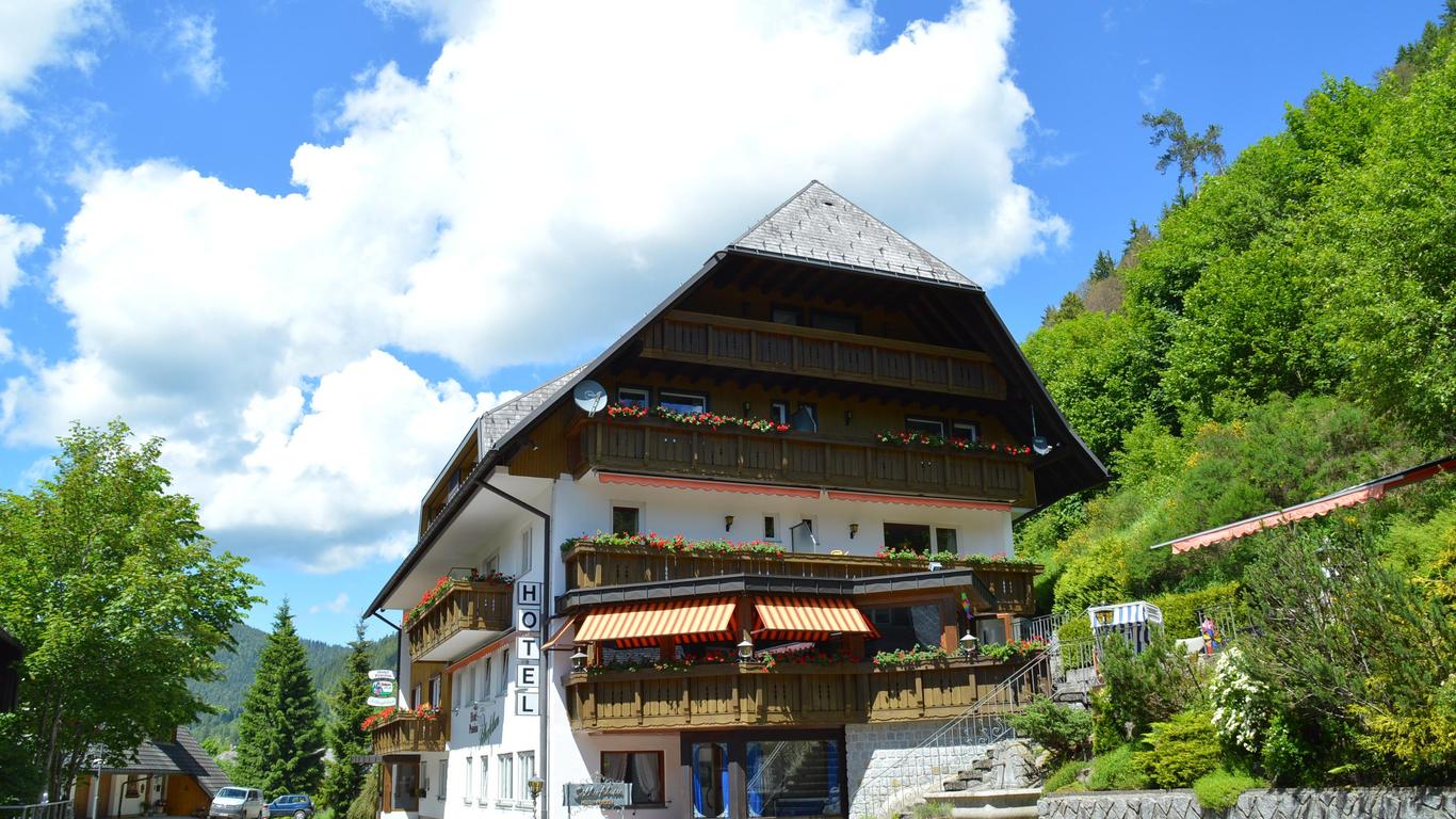 Hotel-Pension Silberfelsen